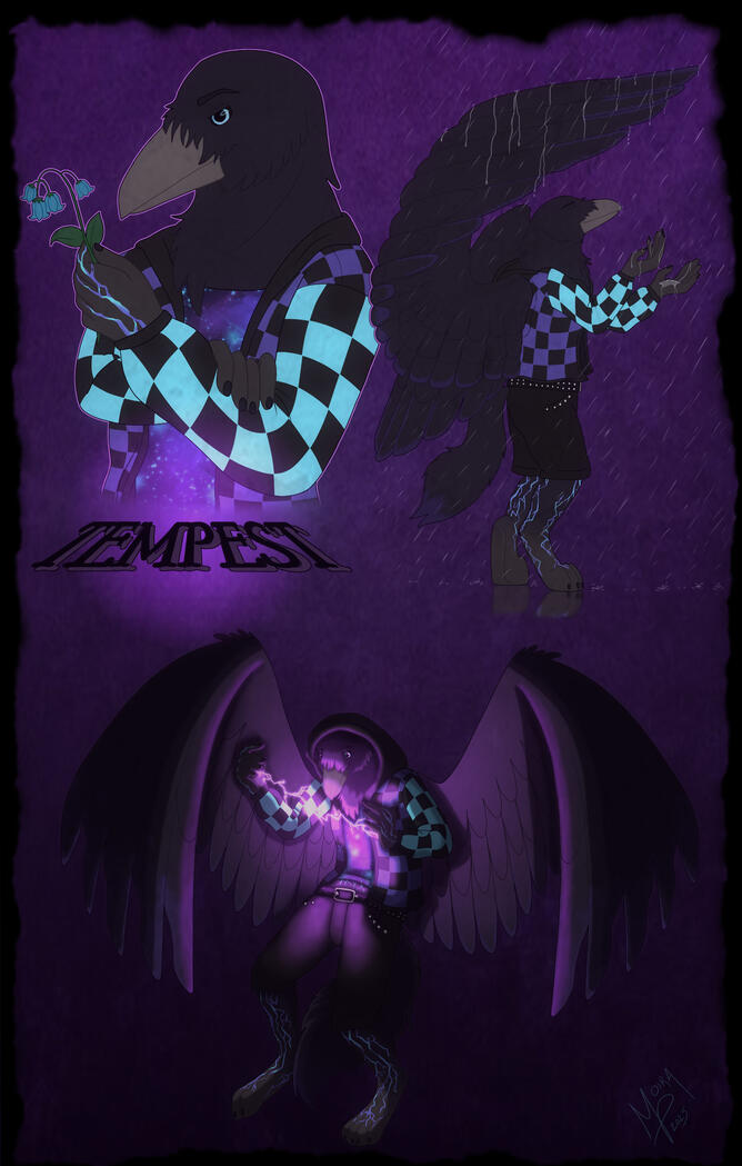 Character page commission 2025